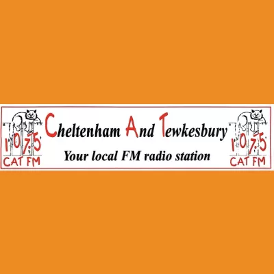 107.5 Cat FM Car Sticker 1998