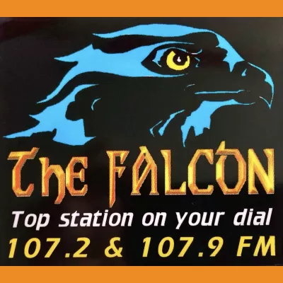 107 The Falcon Launch Car Sticker 1998