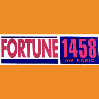 Fortune 1458 Car Sticker 1990s