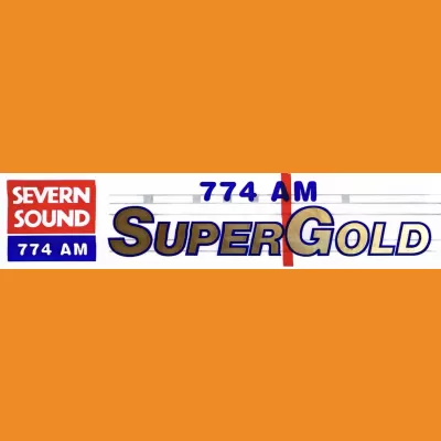 Severn Sound Supergold Car Sticker 1990s